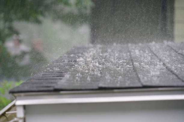 Best Roof Coating and Sealing  in Curwensville, PA