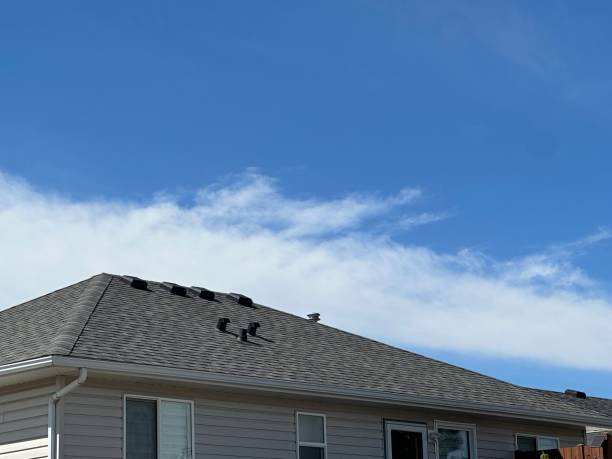 Best Steel Roofing  in Curwensville, PA